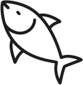 Fisk
